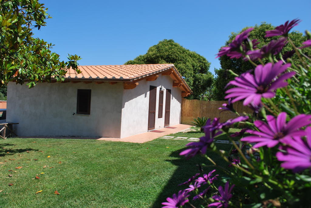 Agriturismo La Valle Di Ceri Cerveteri Exterior photo